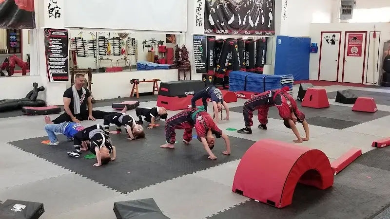Angels Black Tiger Martial Arts and Fitness BJJ Academy - photo 2