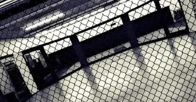 Angels Of Conflict MMA BJJ Academy - photo 1