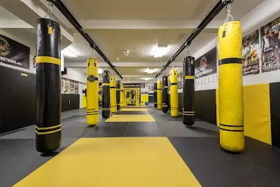 Angry Monkey MMA BJJ Academy - photo 1