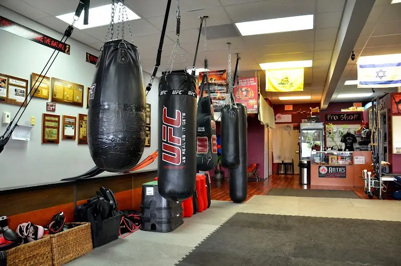 Anta's Fitness and Self Defense BJJ Academy - photo 1