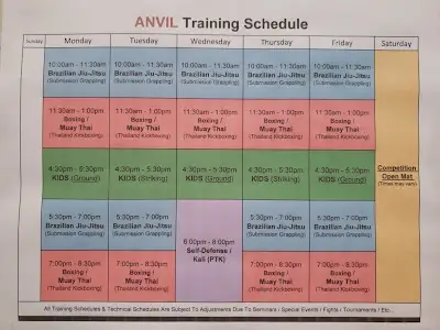 Anvil Training Center BJJ Academy - photo 1