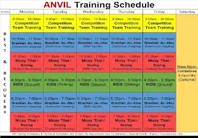 Anvil Training Center BJJ Academy - photo 2