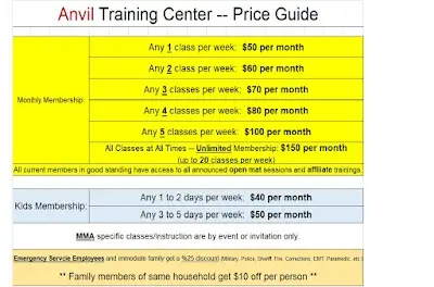 Anvil Training Center BJJ Academy - photo 3