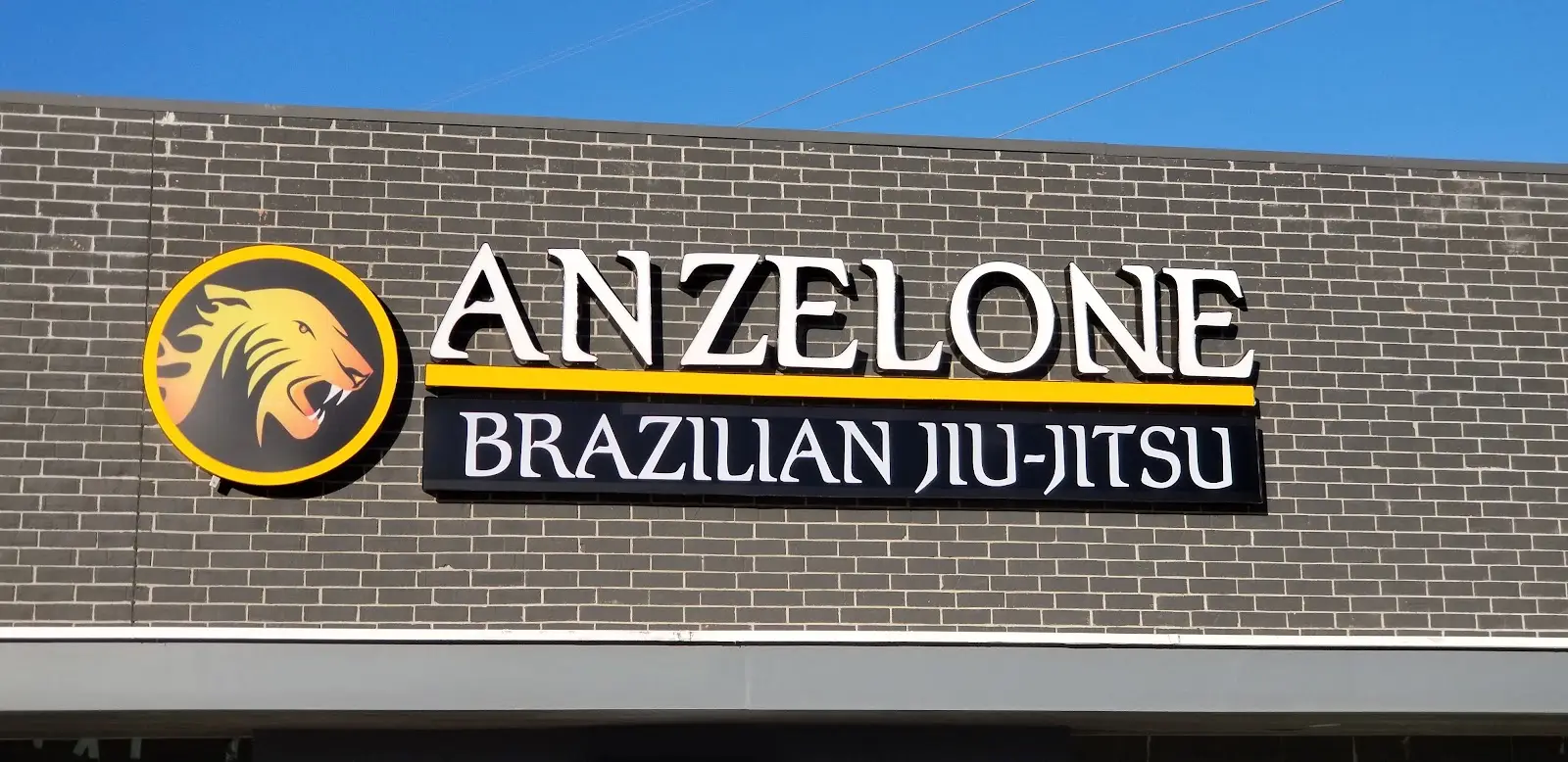 Anzelone Jiu-Jitsu