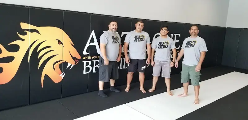 Anzelone Jiu-Jitsu BJJ Academy - photo 2