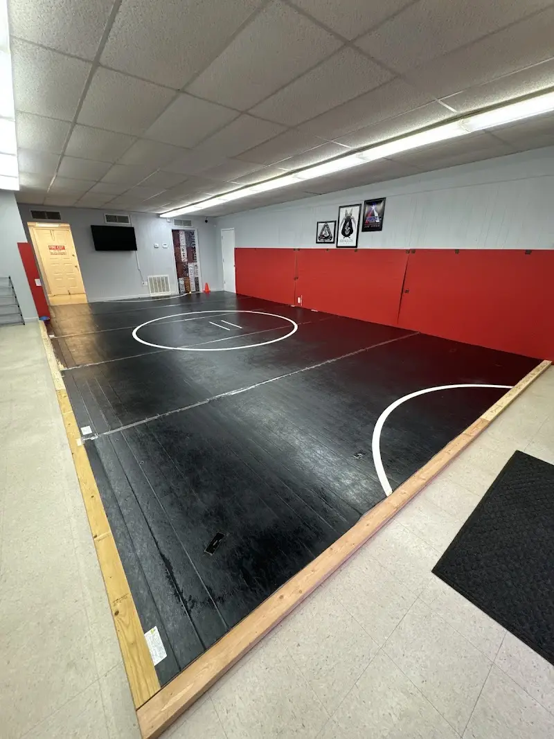 AOP BJJ Academy - photo 1