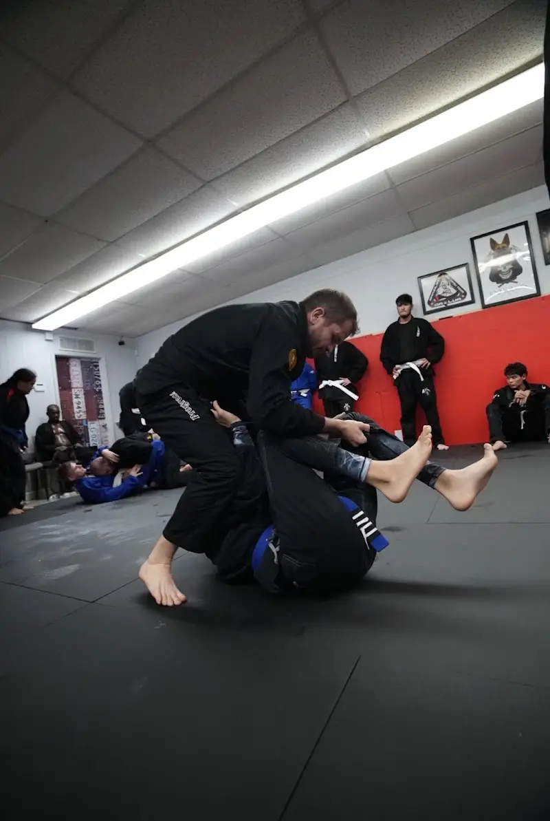 AOP BJJ Academy - photo 2