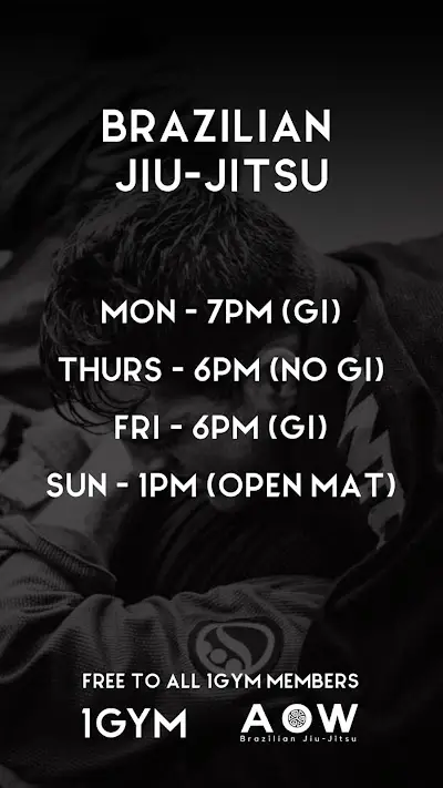 AOW BJJ BJJ Academy - photo 1