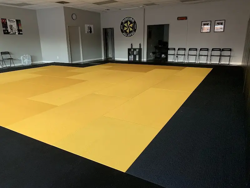 AP Brazilian Jiu-Jitsu Academy - Yorba Linda / Anaheim Hills