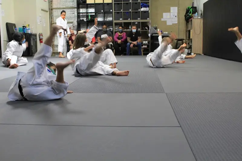 AP Training Center FL BJJ Academy - photo 2