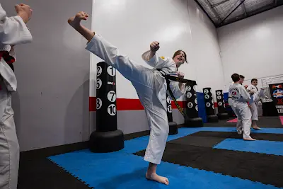 Apeiron Martial Arts BJJ Academy - photo 4