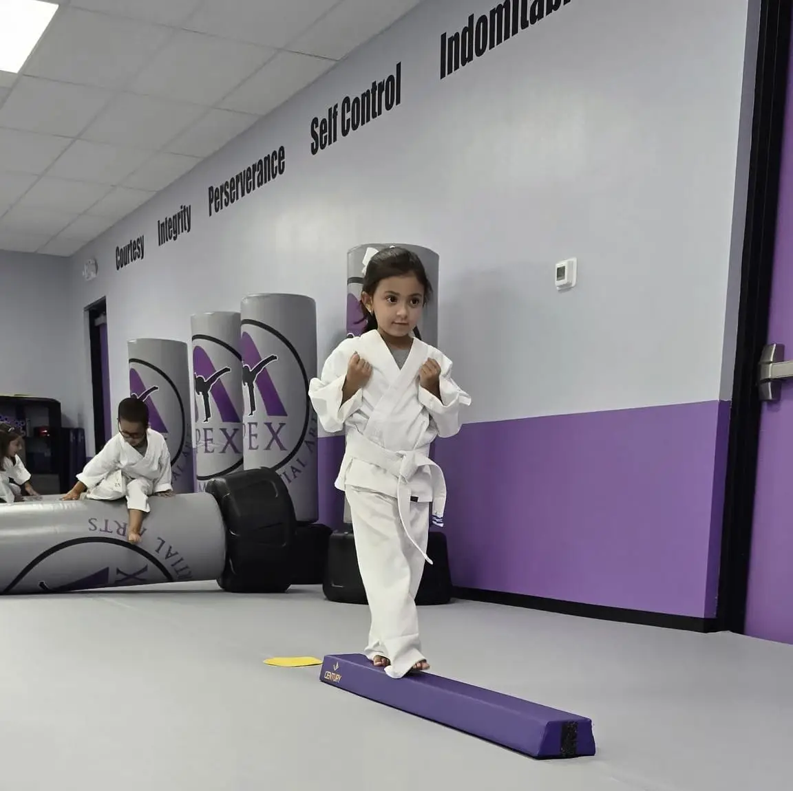 Apex Academy of Martial Arts