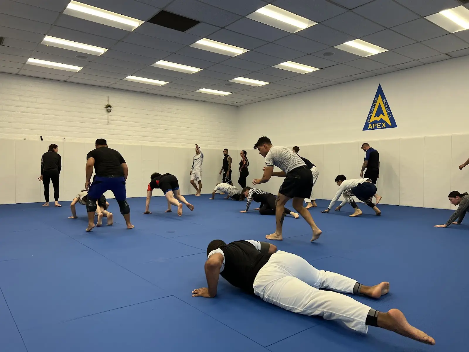 Apex Brazilian Jiu Jitsu Academy Vacaville