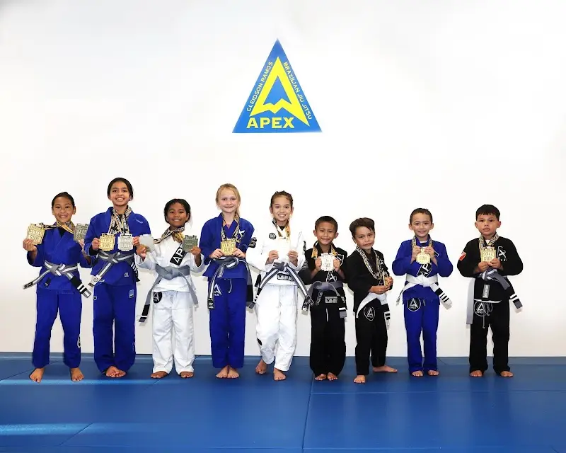 Apex Brazilian Jiu Jitsu Academy Vacaville BJJ Academy - photo 1