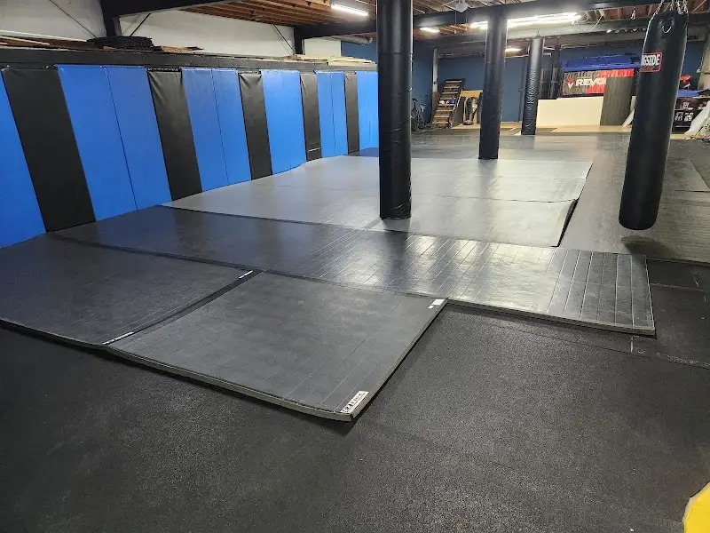 APEX Combat Sports BJJ Academy - photo 1