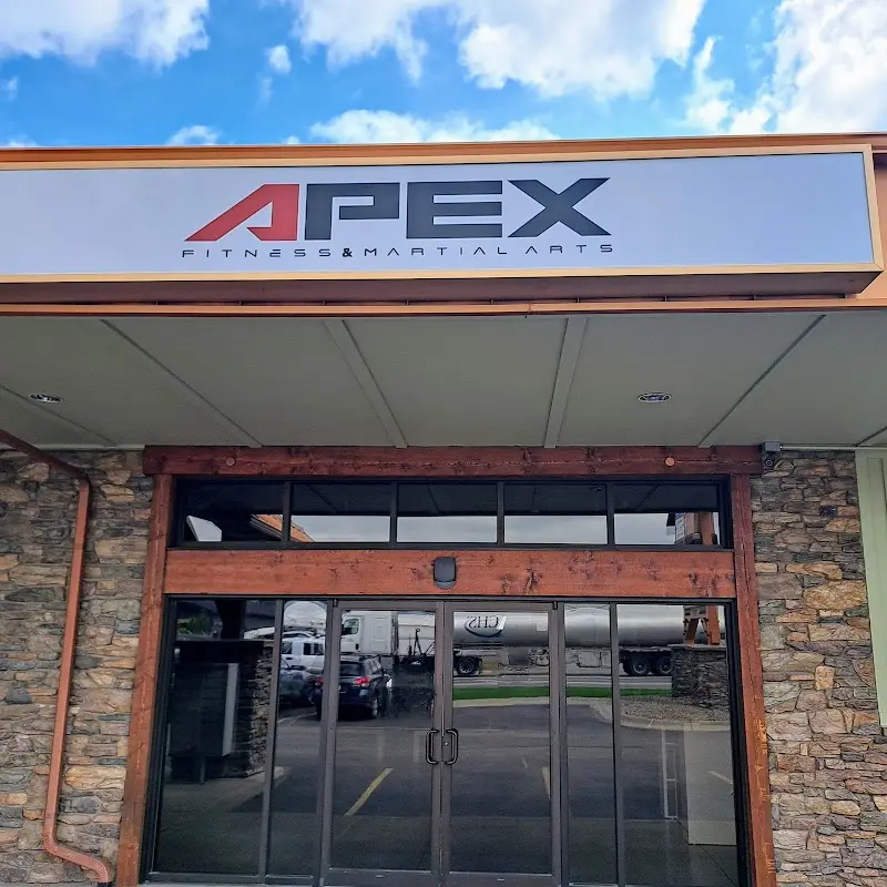 Apex Fitness and Martial Arts BJJ Academy - photo 2