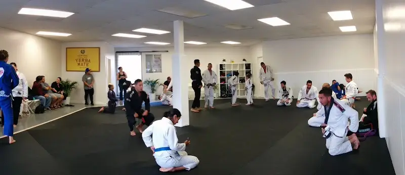 Apex Jiu Jitsu Bonita BJJ Academy - photo 1