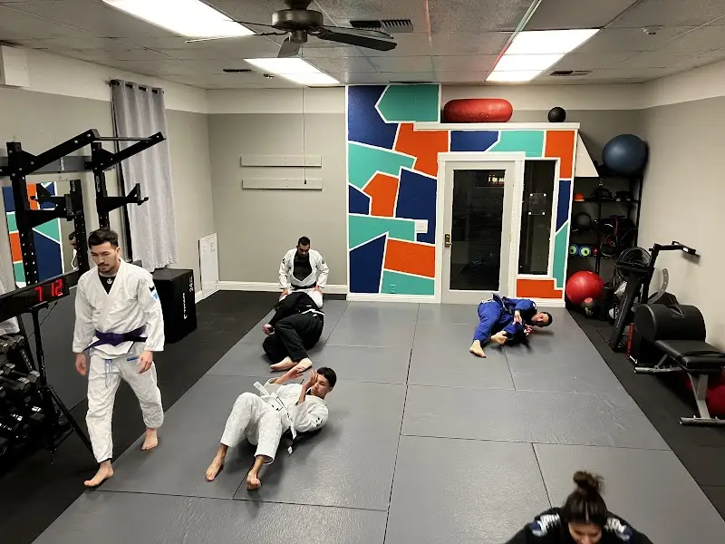 Apex Jiu Jitsu Club BJJ Academy - photo 1