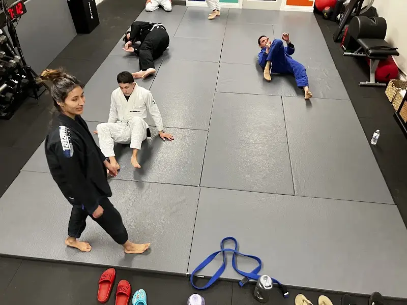 Apex Jiu Jitsu Club BJJ Academy - photo 2