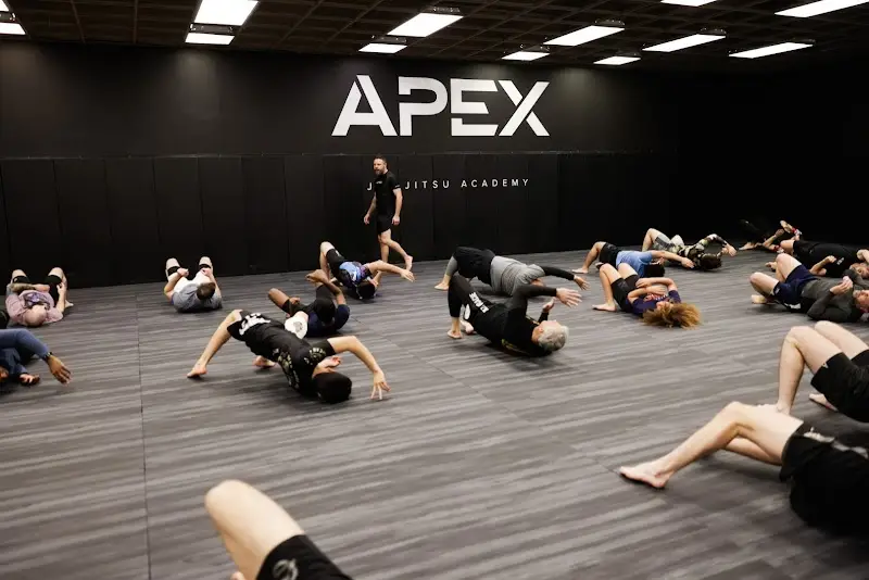 APEX Jiu-Jitsu BJJ Academy - photo 1