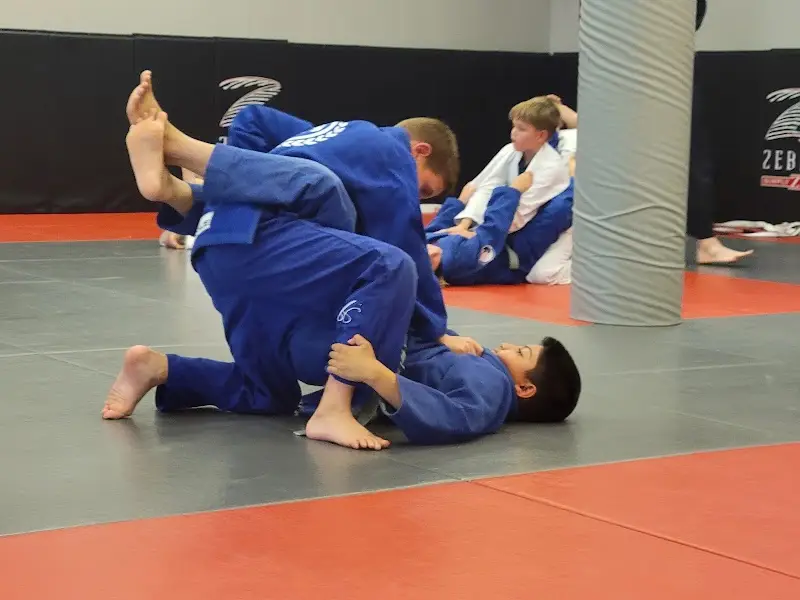 APEX Jiu-Jitsu BJJ Academy - photo 2