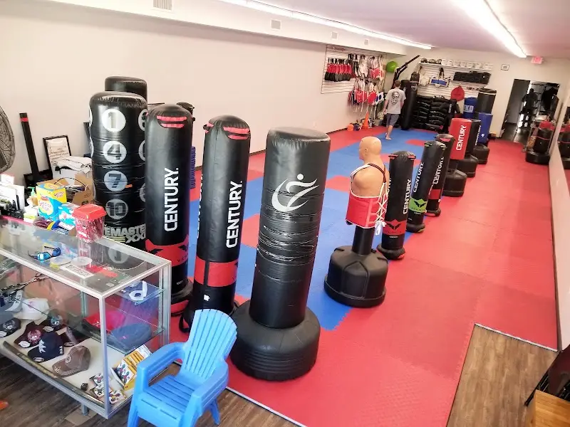 Apex Martial Arts Academy