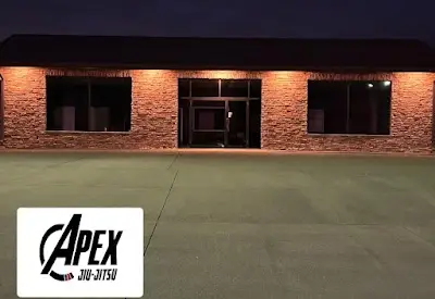 Apex Martial Arts Academy BJJ Academy - photo 3