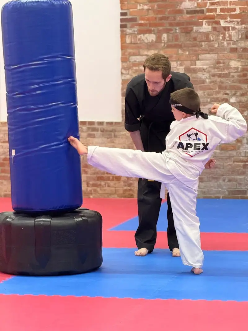 Apex Martial Arts Center BJJ Academy - photo 1