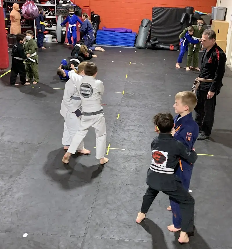 Apex Martial Arts Center BJJ Academy - photo 2