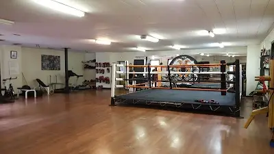 Apex Martial Arts Downtown BJJ Academy - photo 4