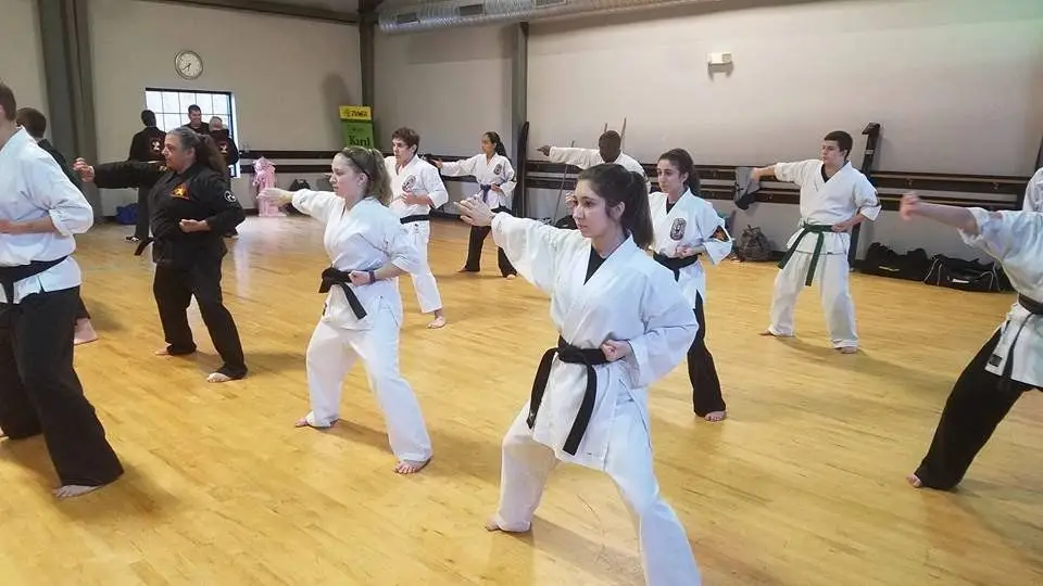 APEX Martial Arts