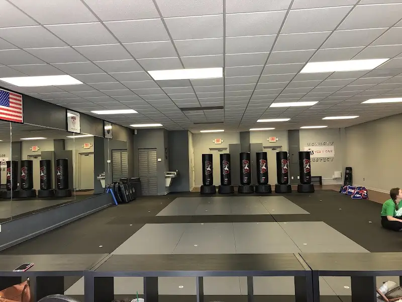 Apex Martial Arts BJJ Academy - photo 2