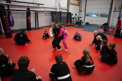APEX MMA Lakeshore BJJ Academy - photo 1