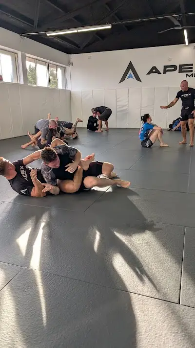 Apex MMA, Muay Thai & Jiu-Jitsu BJJ Academy - photo 4