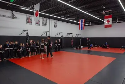 APEX MMA Windsor