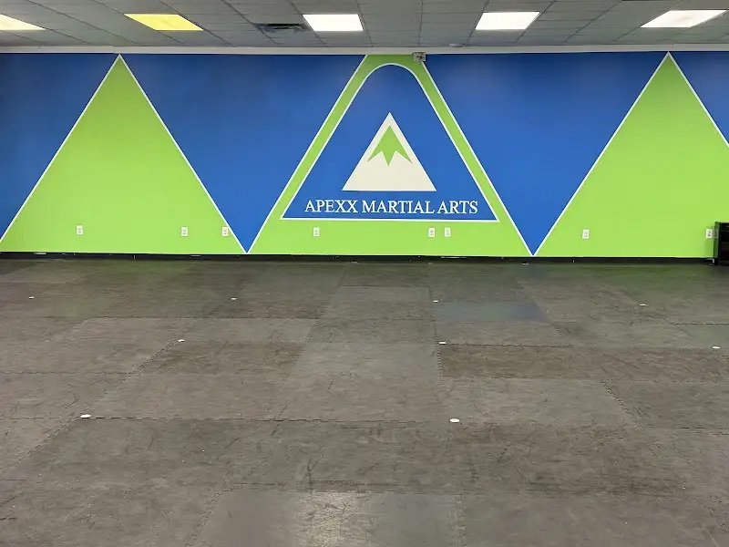 Apexx Martial Arts BJJ Academy - photo 2