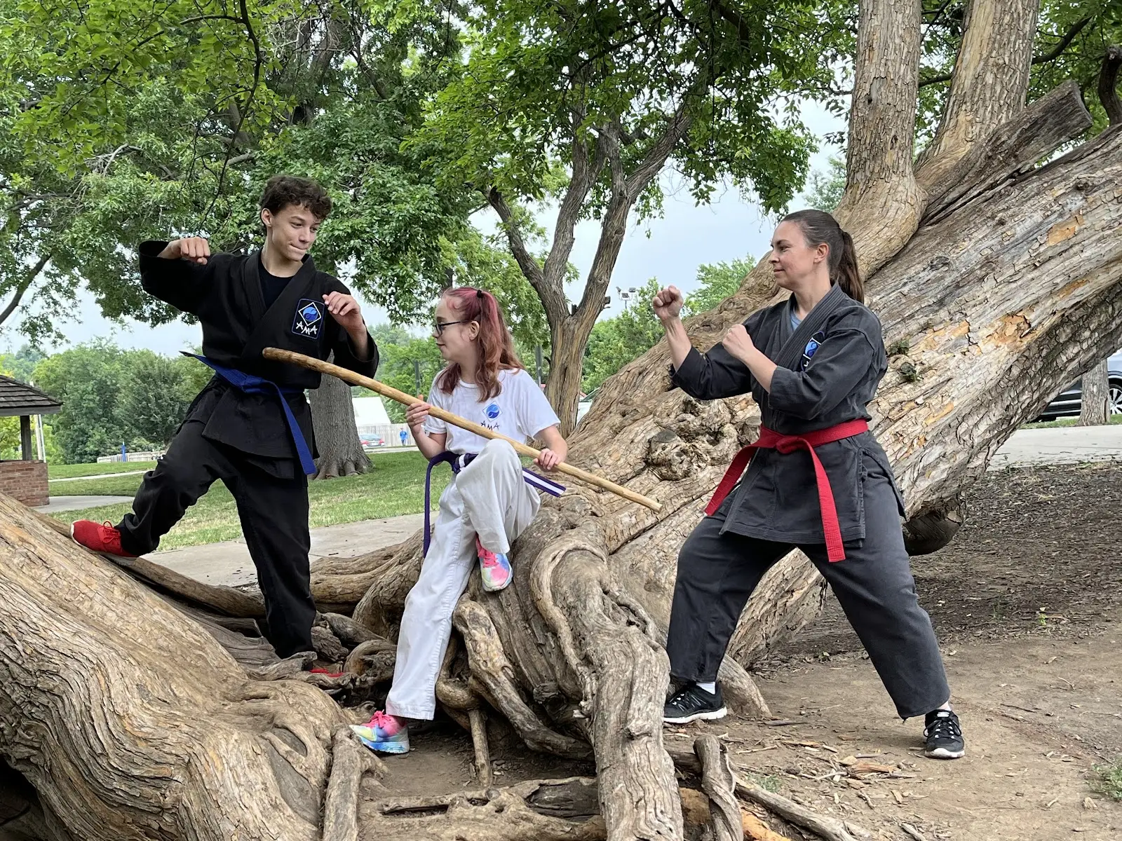 Aplomb Martial Arts Liberty