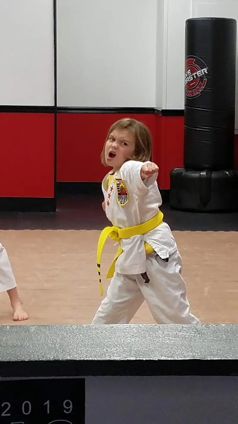 Aplomb Martial Arts Prairie Village BJJ Academy - photo 2