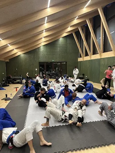 Apollo BJJ