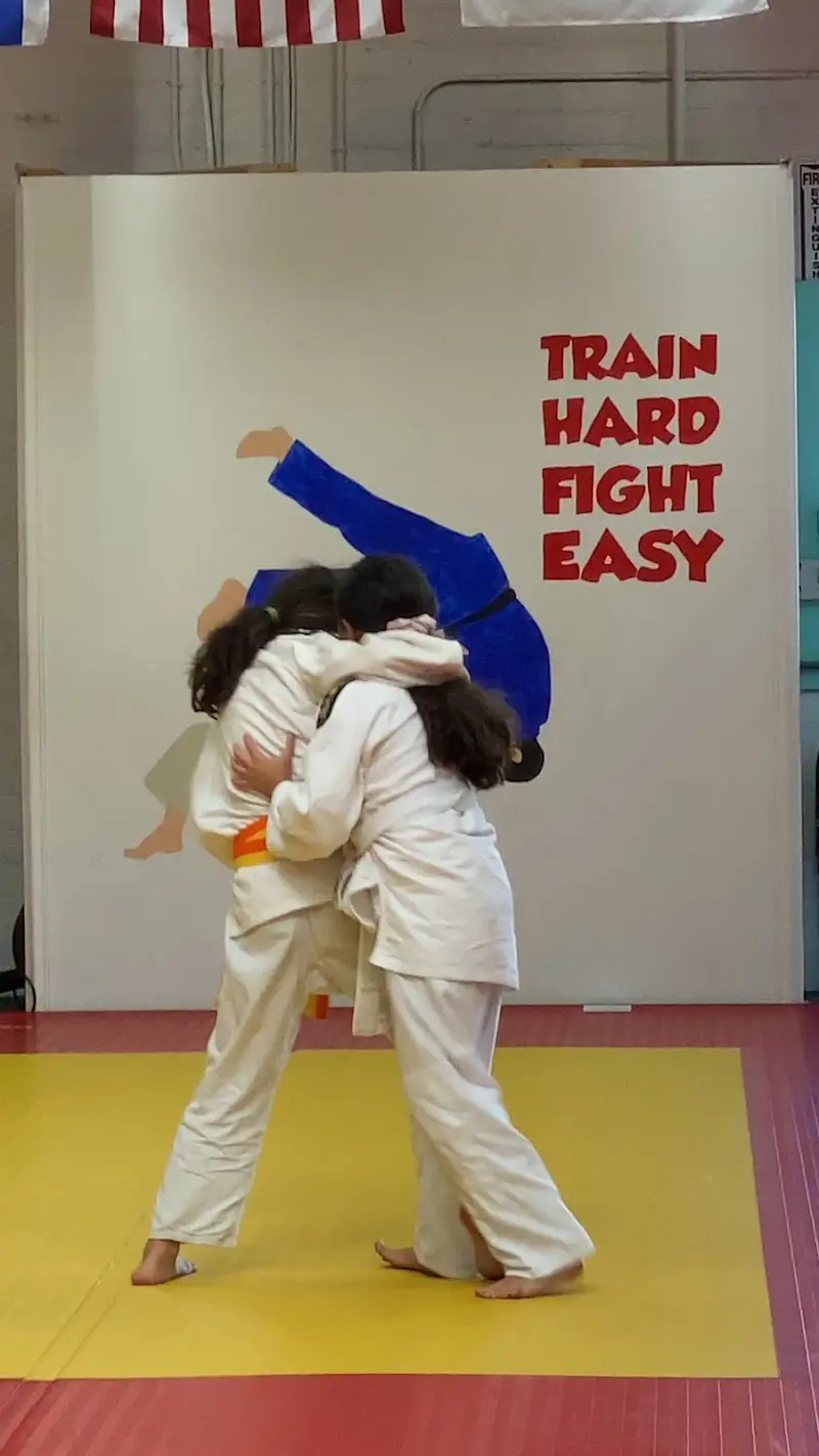 Ararat Martial Arts & After School Fitness Center BJJ Academy - photo 2