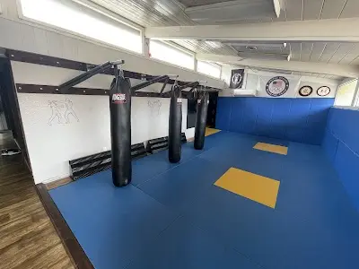 Arashi Brazilian Jiu Jitsu BJJ Academy - photo 1