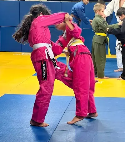 Arashi Brazilian Jiu Jitsu BJJ Academy - photo 2