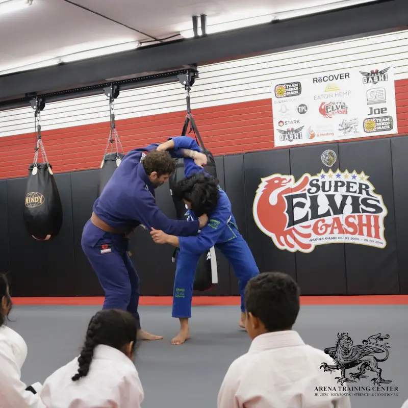 Arena Training Center BJJ Academy - photo 2