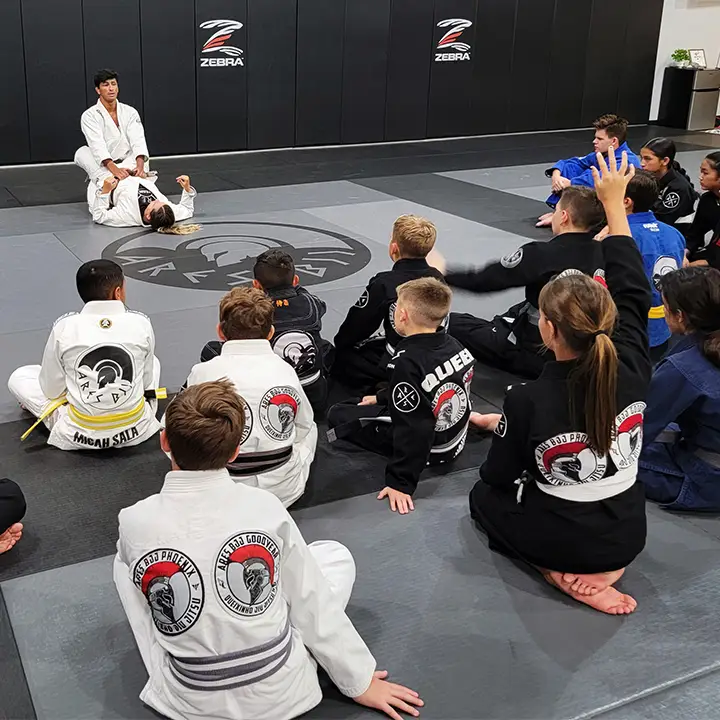Ares BJJ Goodyear BJJ Academy - photo 1