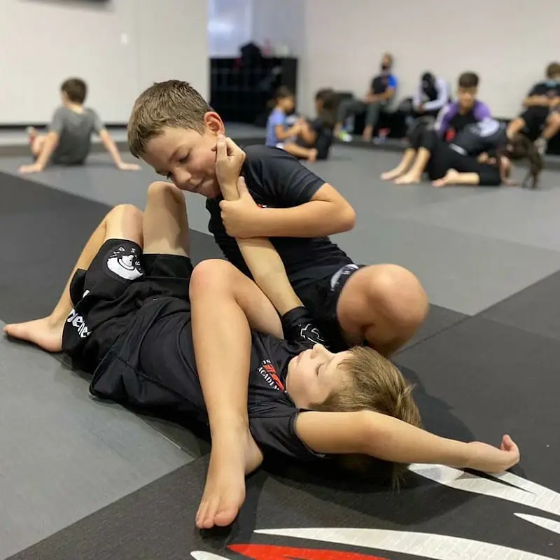 Ares BJJ Goodyear BJJ Academy - photo 2