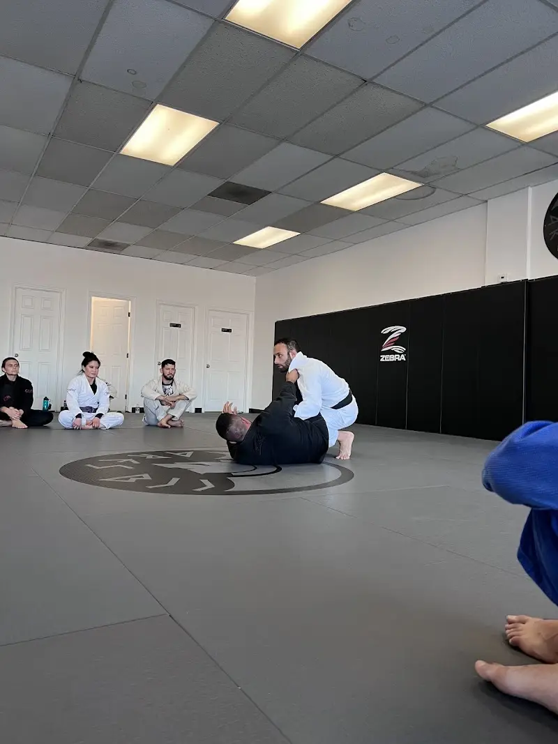 Ares Brazilian Jiu Jitsu Academy
