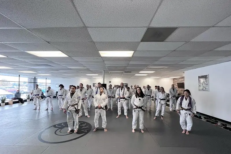 Ares Brazilian Jiu Jitsu Academy