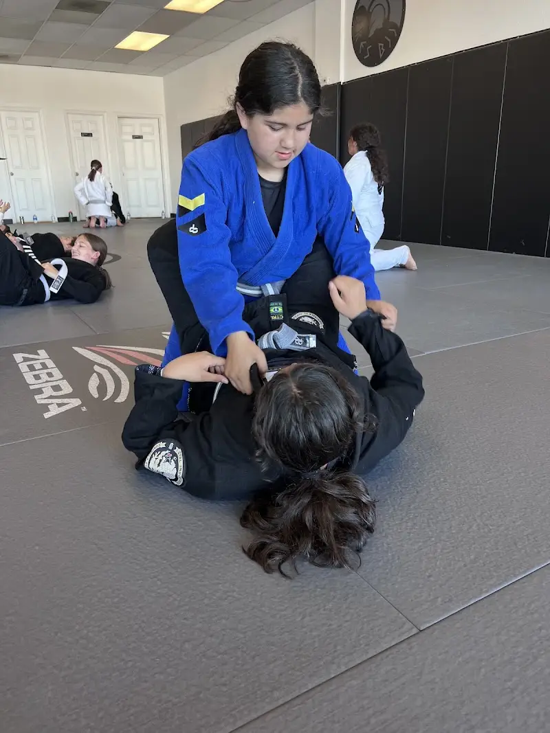 Ares Brazilian Jiu Jitsu Academy BJJ Academy - photo 1