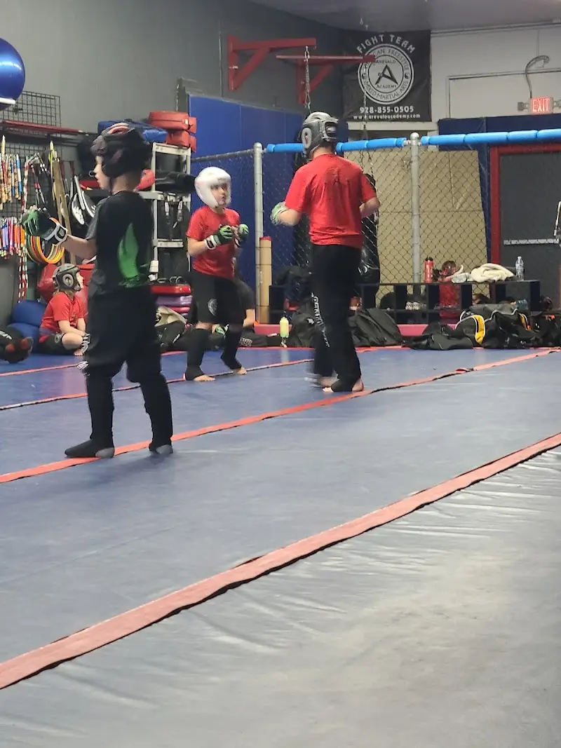 Arevalo Academy BJJ Academy - photo 1
