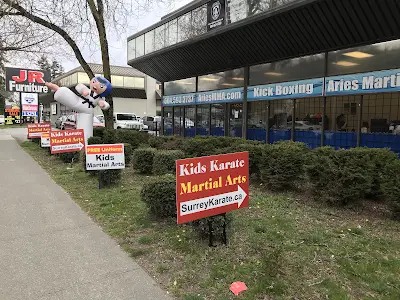 Aries Martial Arts & Kickboxing Surrey BJJ Academy - photo 2